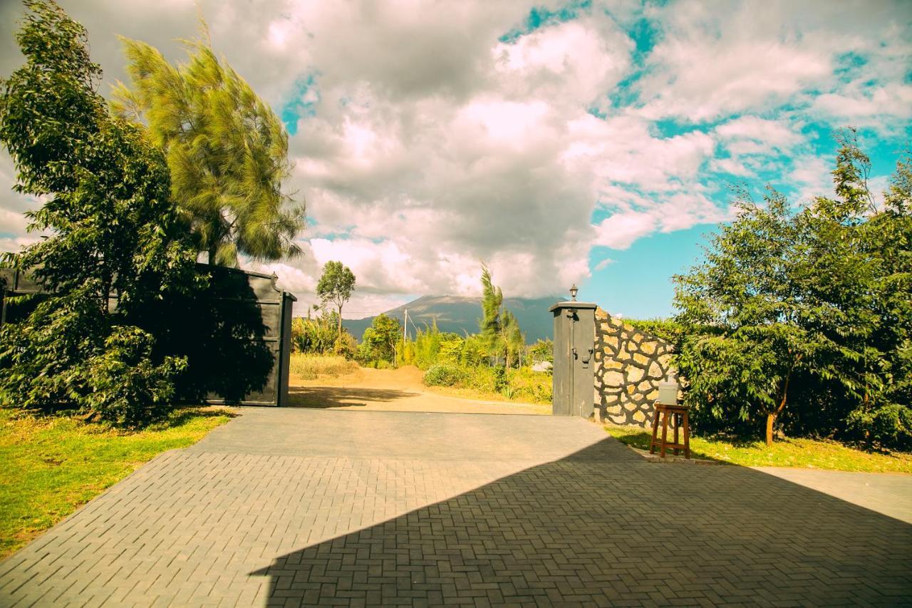Shamba Lodge Cabin B Arusha Eksteriør bilde