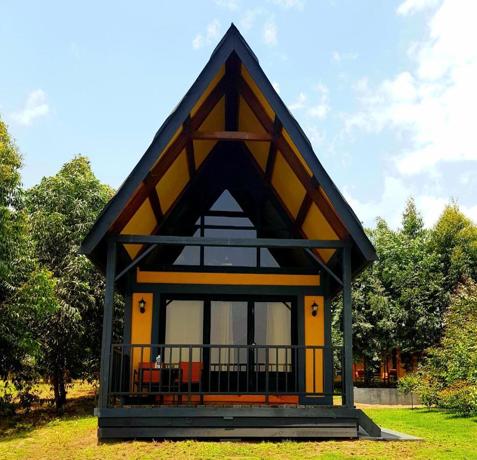 Shamba Lodge Cabin B Arusha Eksteriør bilde
